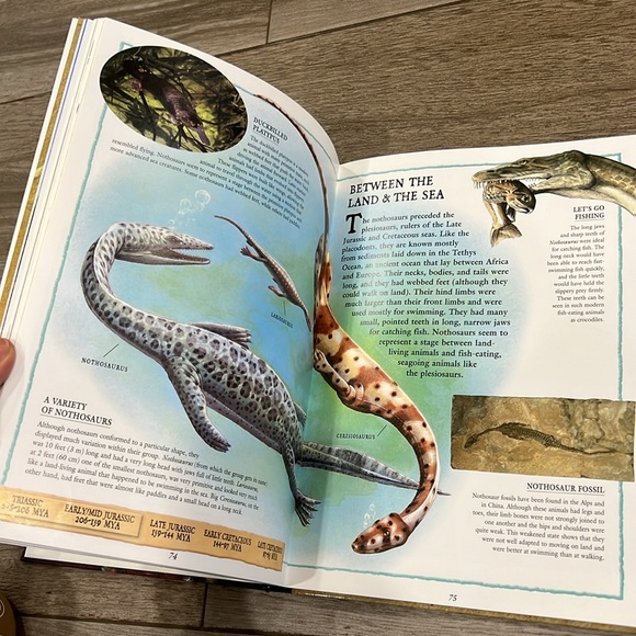 Dinosaurs - Picture 2 of 2